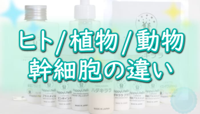 【幹細胞の種類】ヒト幹細胞、植物幹細胞、動物幹細胞エキスの違いは？